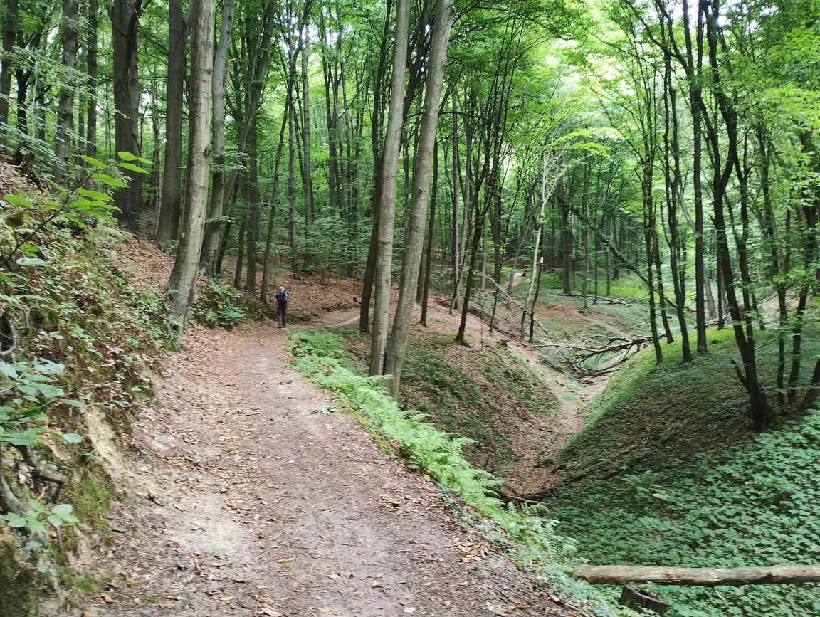 Tenczyński Park Krajobrazowy