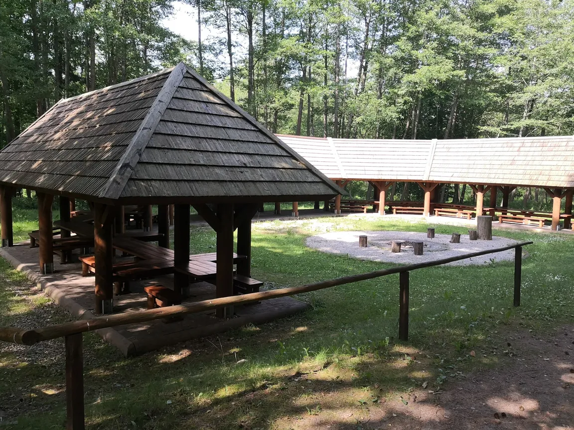 Stara Białowieża