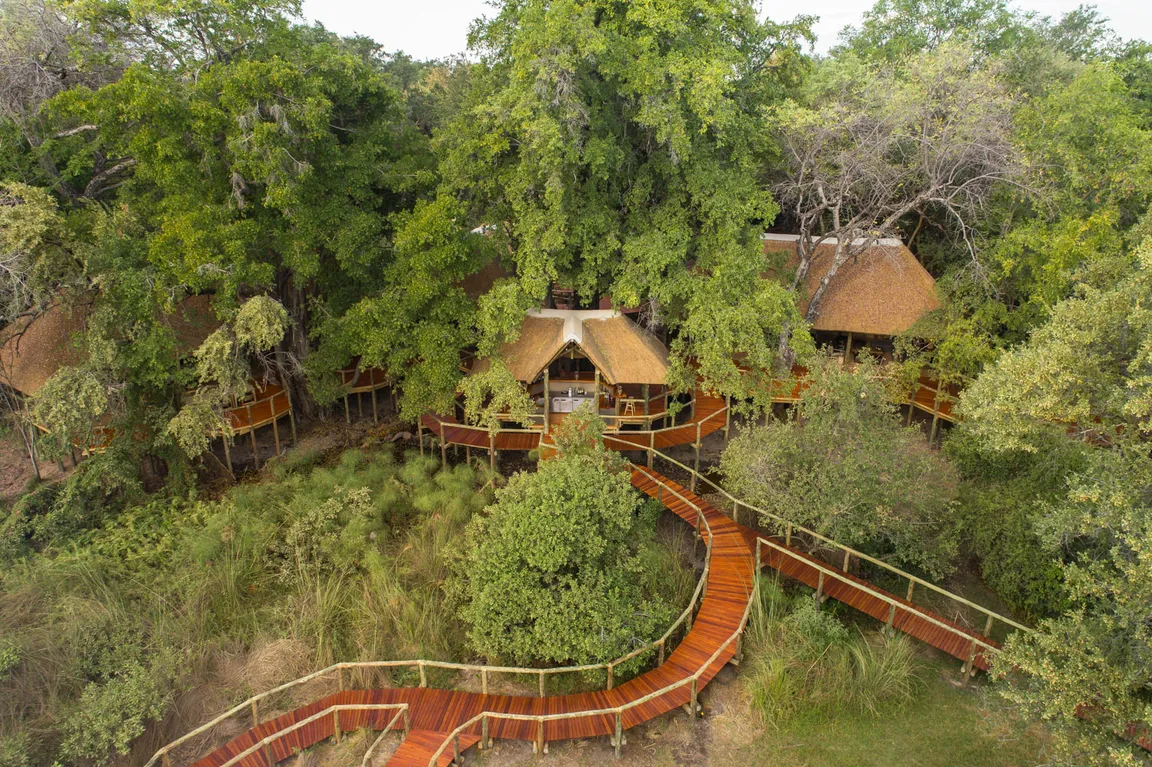Camp Moremi