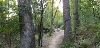Maple Lake East - Mountain Bike Staging Area