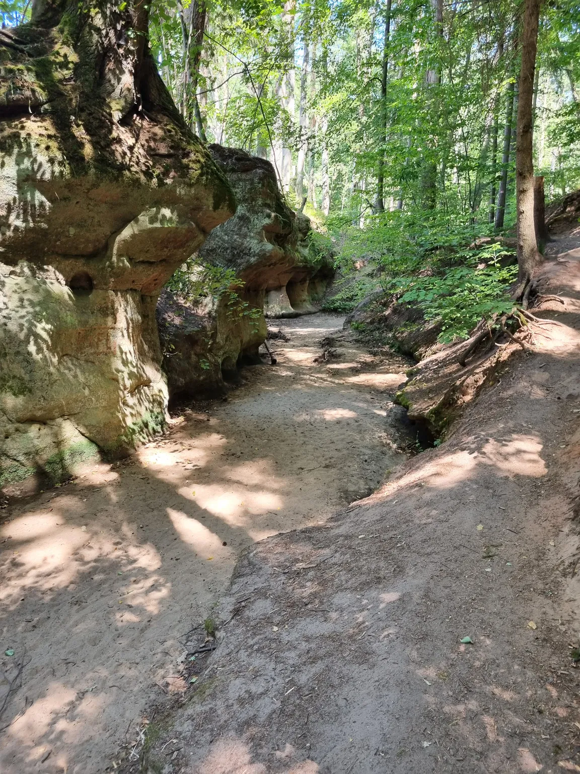 Fussweg zur Bitterbachschlucht