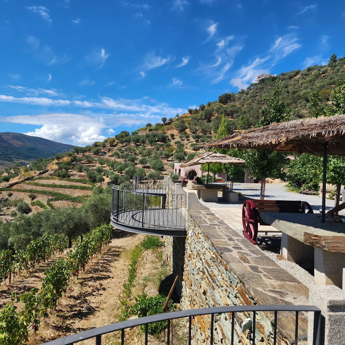 Quinta do Jalloto - Family vineyards