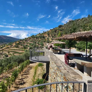 Quinta do Jalloto - Family vineyards
