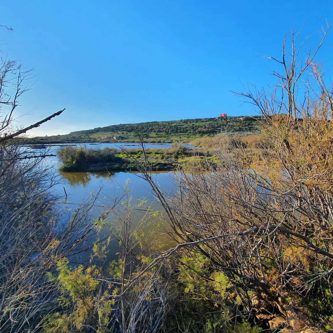 Għadira Nature Reserve