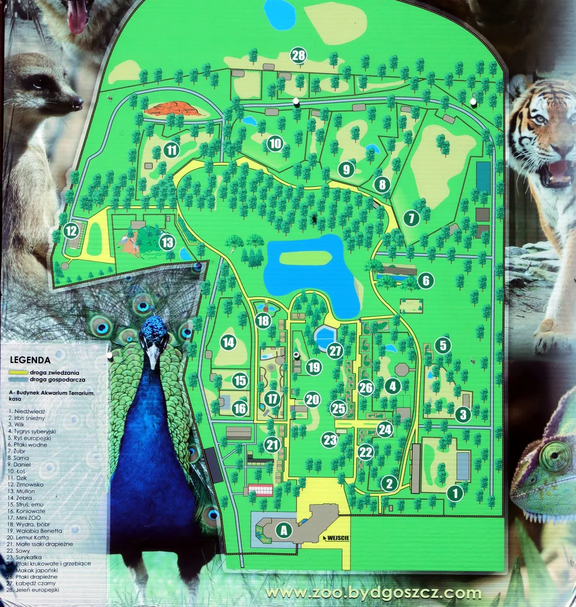 Ogród Zoologiczny w Bydgoszczy