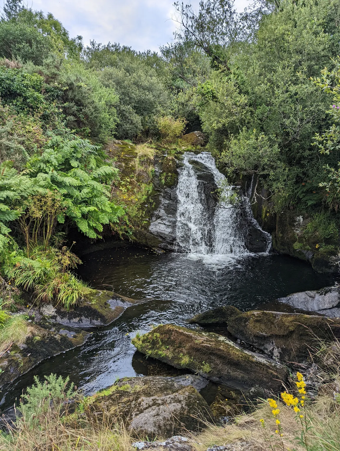 Waterfall Alpaca Farm (by appointment only)