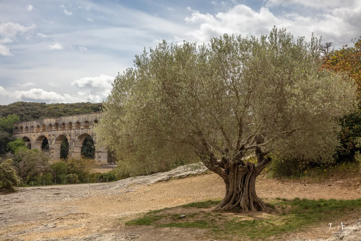 Akwedukt Pont-du-Gard