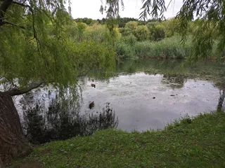Volkspark - Enten Park