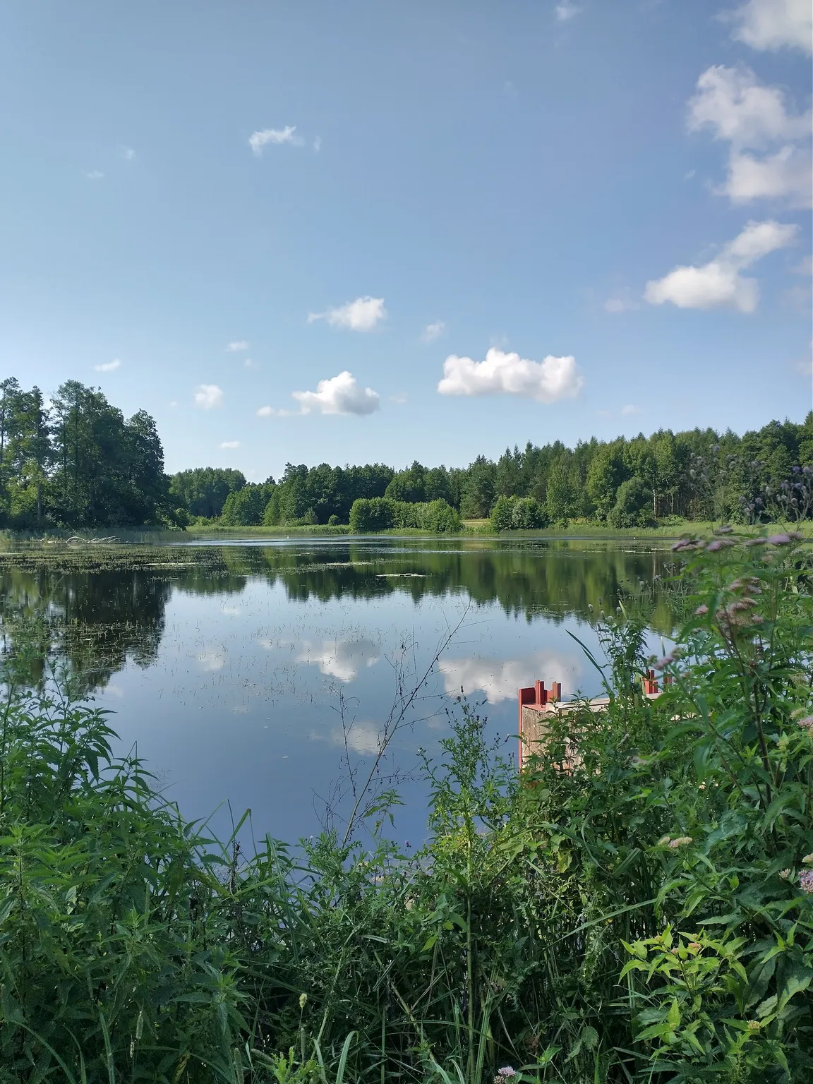 Jezioro Komosa