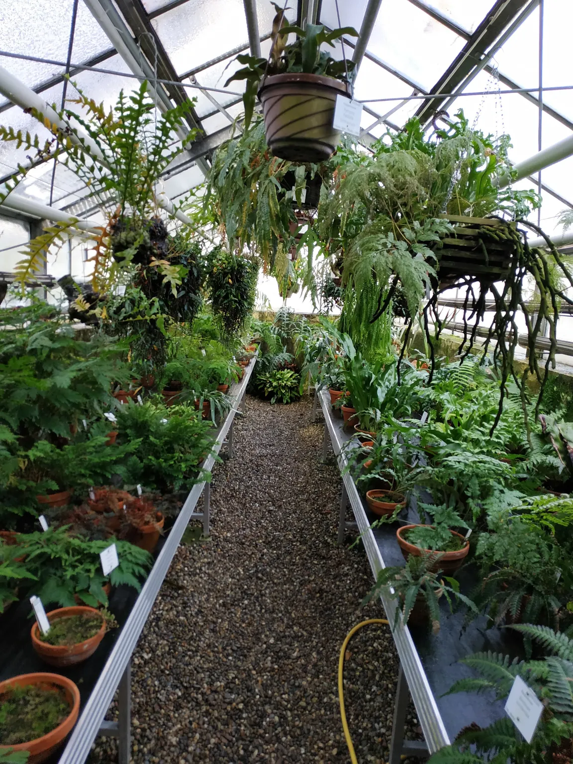 Johannes Gutenberg University Mainz Botanical Garden