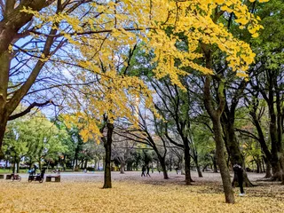 Roka Kōshun'en Garden