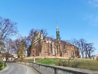 Bazylika katedralna pw. Narodzenia Najświętszej Maryi Panny