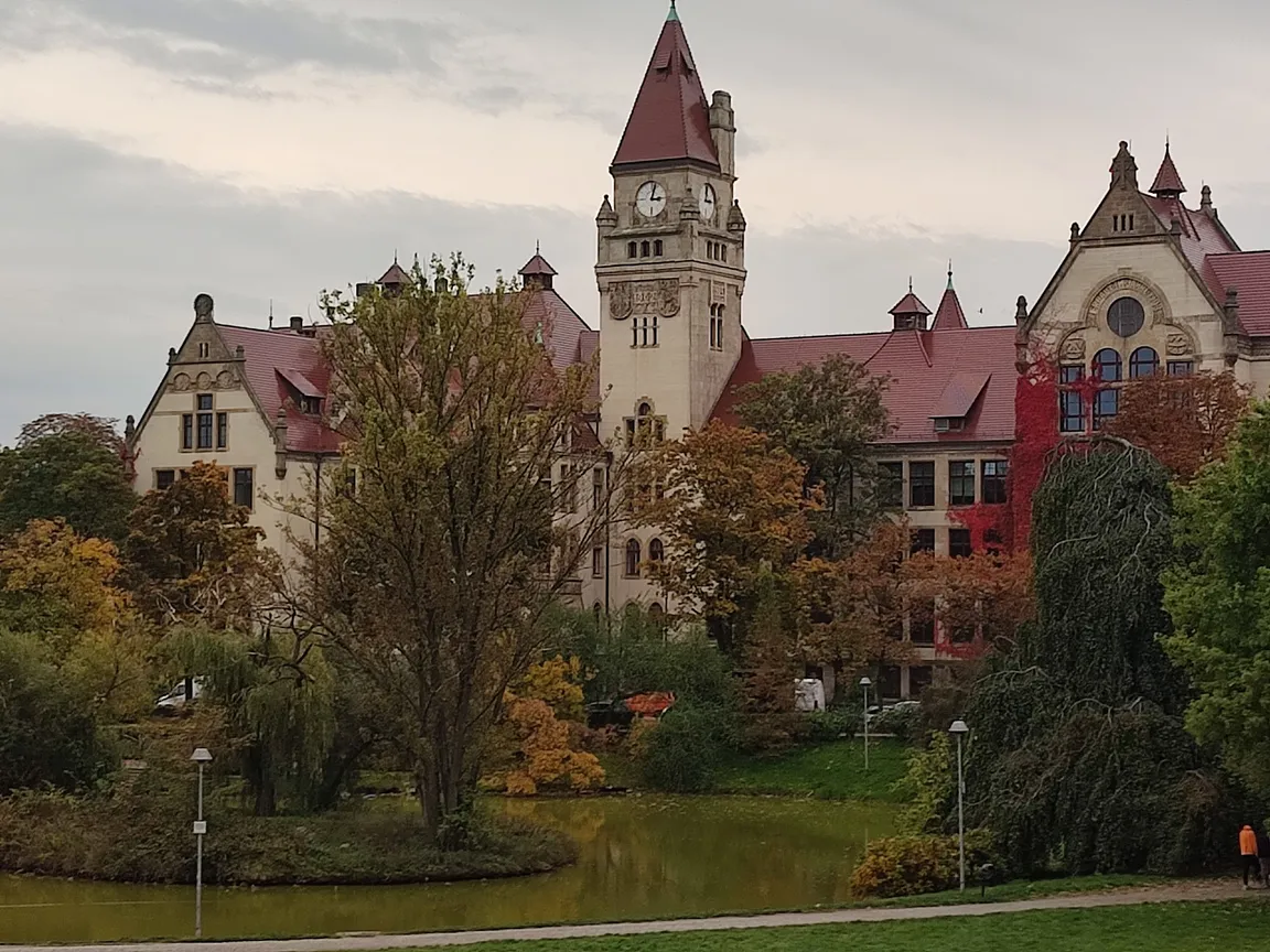 Wybieg dla psów