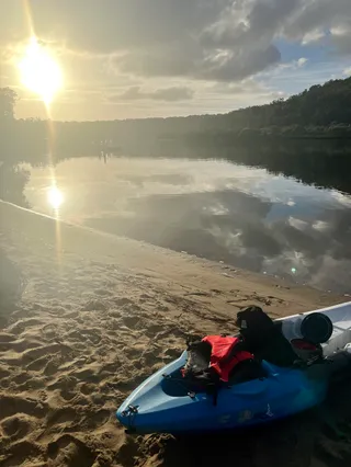 Swallow Rock Reserve