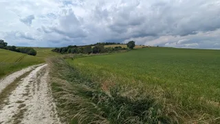 Bury Hill
