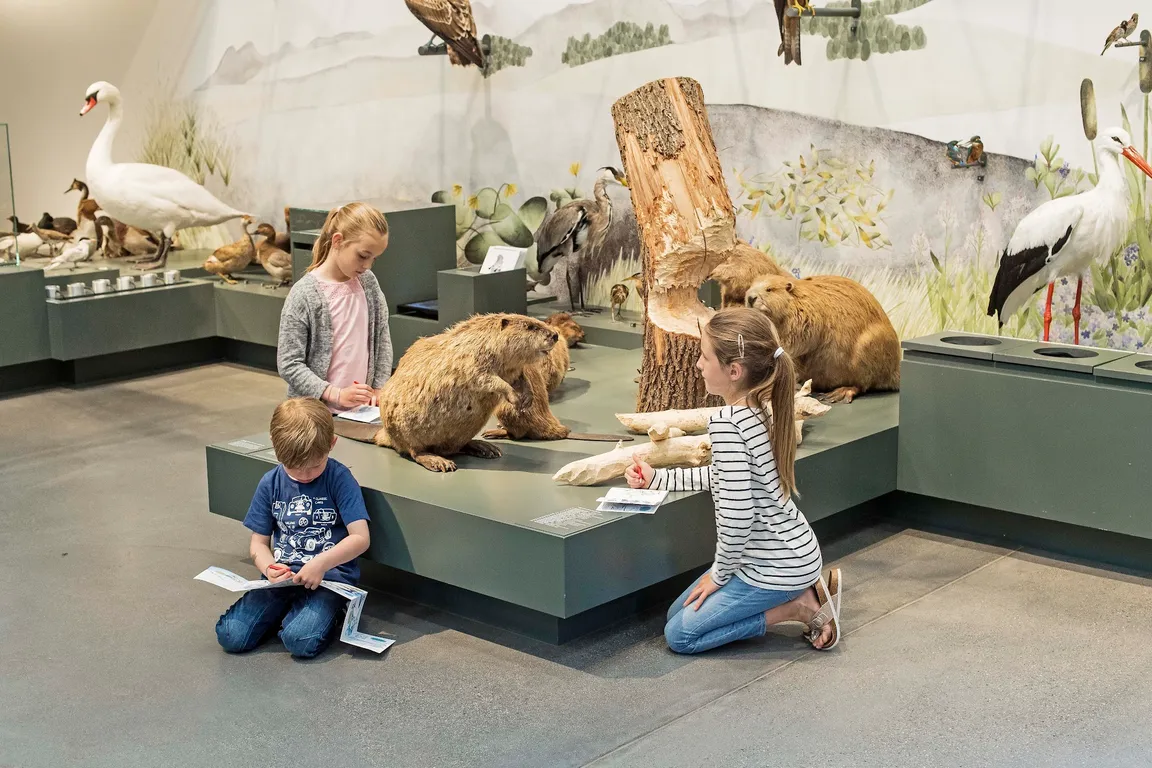 Natural History Museum St. Gallen