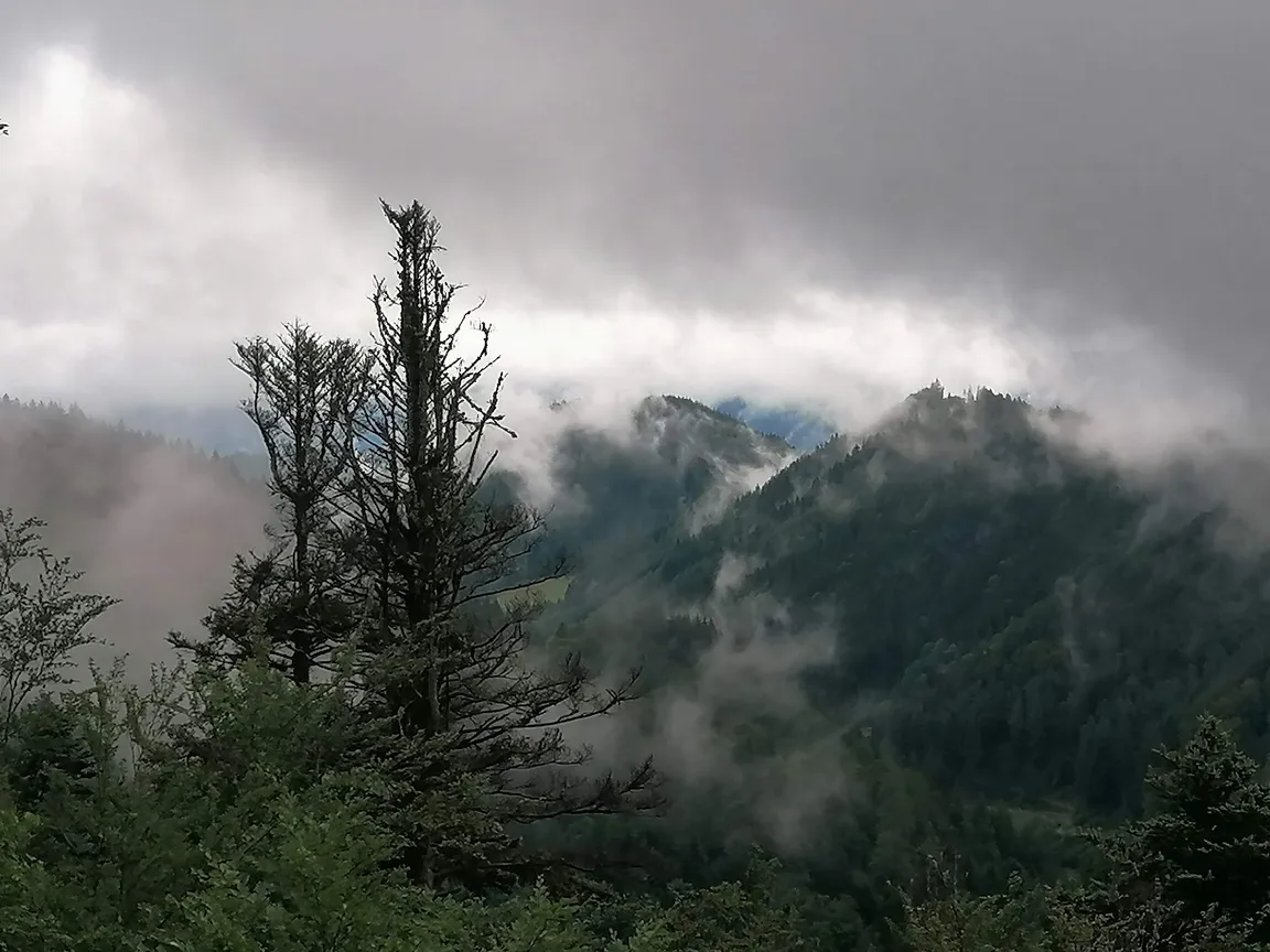 Aussichtsplattform Studentenfelsen