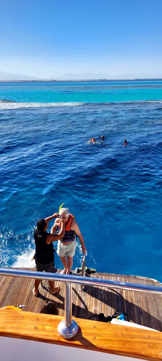 Dolphin house Small reef