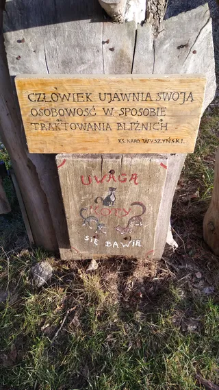 Punkt widokowy przy Wiatraku