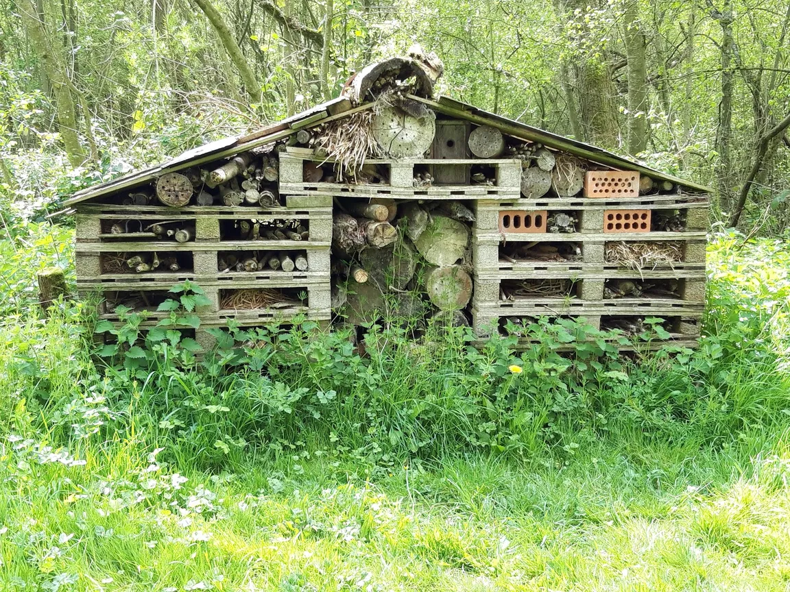 Langford Lakes Nature Reserve, Wiltshire Wildlife Trust