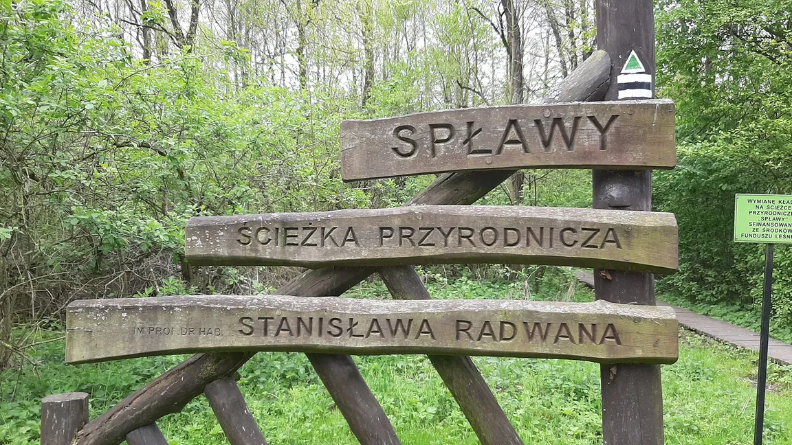 Ścieżka przyrodnicza "Spławy", początek jednego z 3 wejść