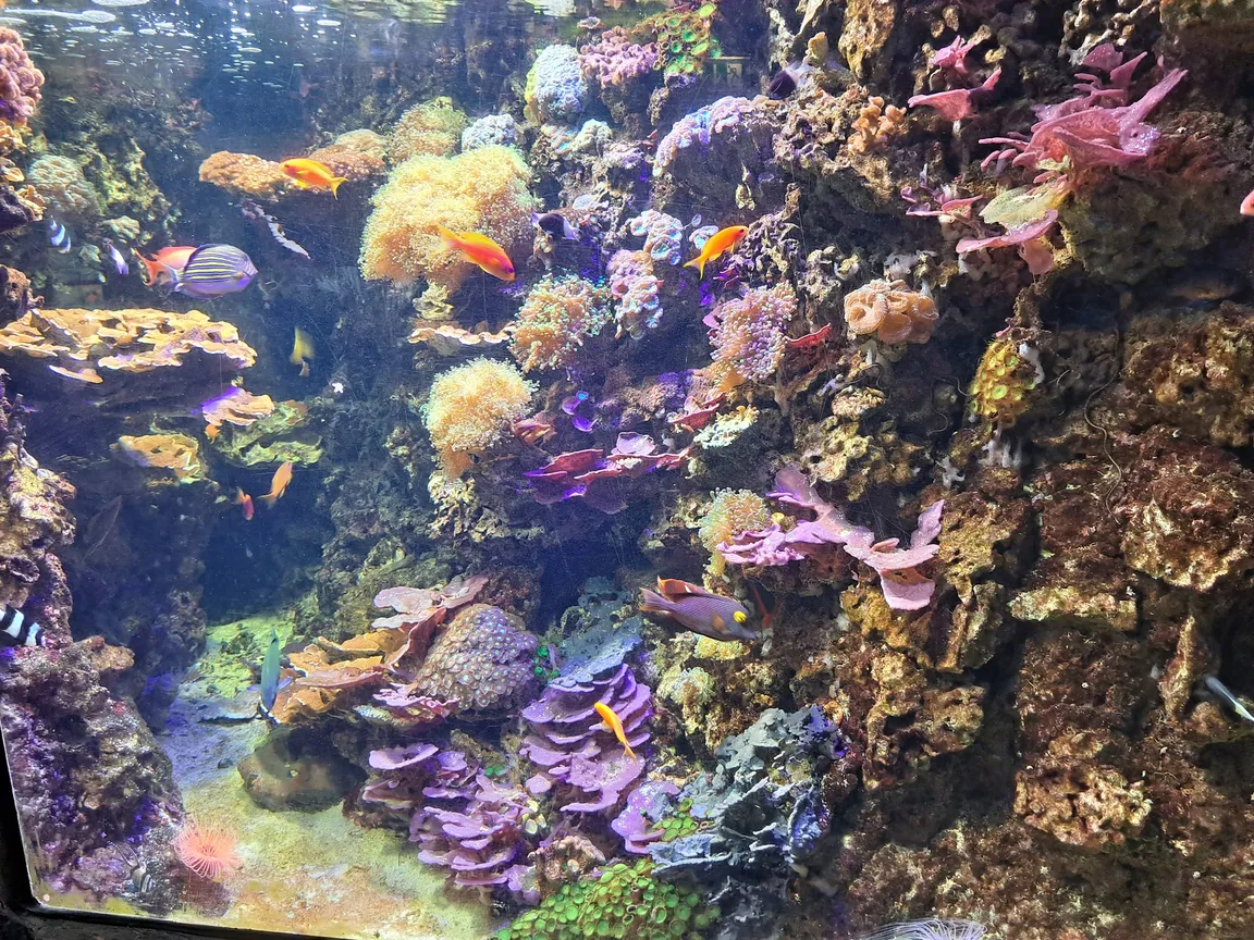 Sea Life Munich