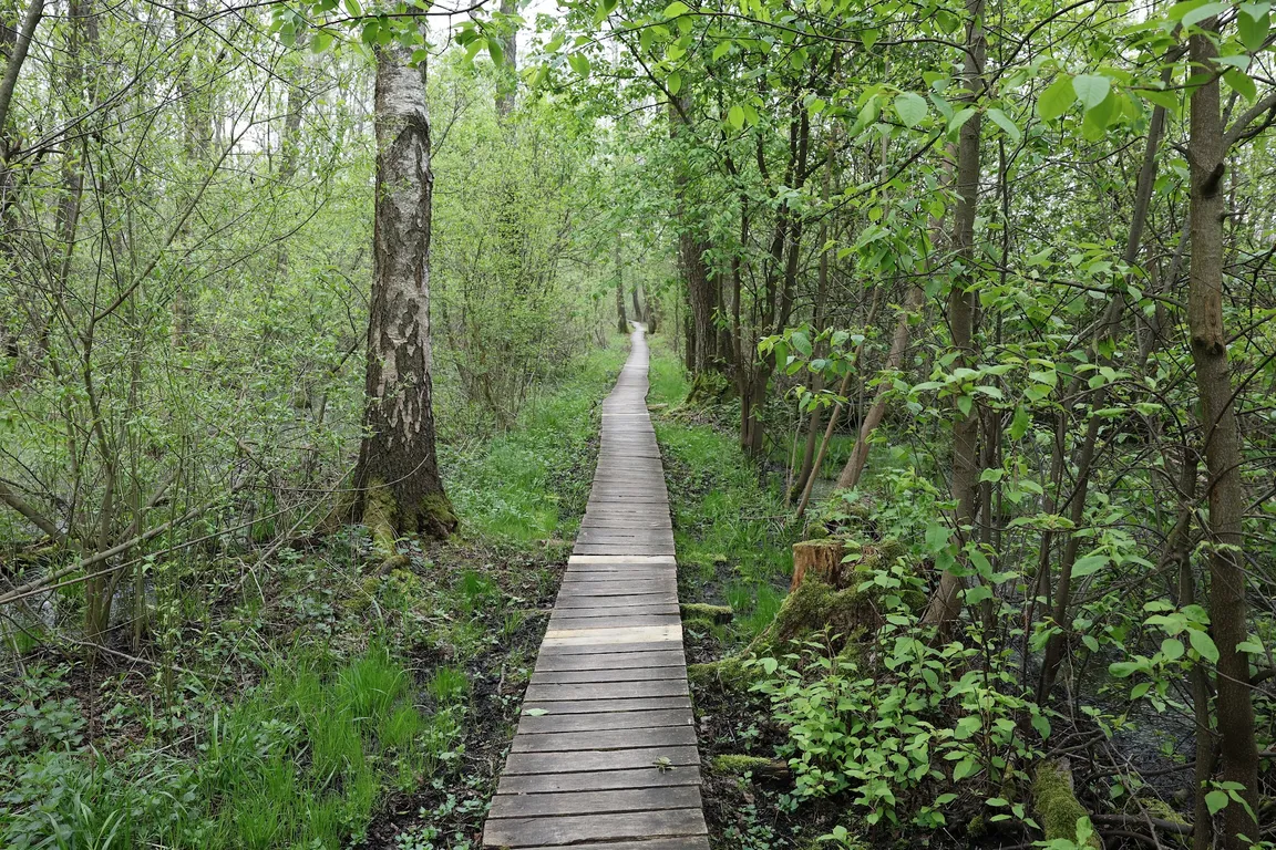 Poleski Park Narodowy
