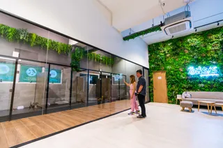 The Oasis, Where Pets Thrive