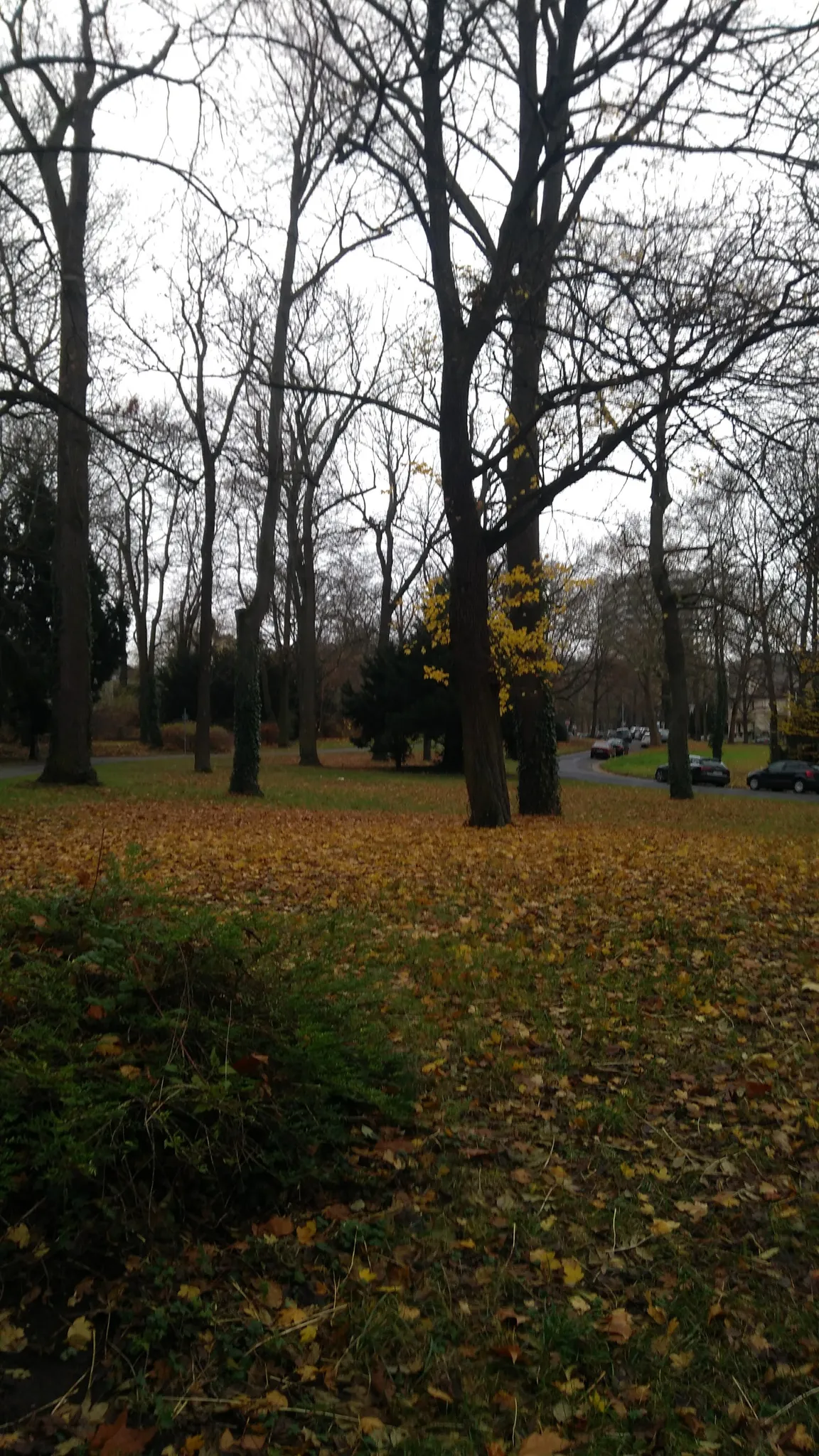 Wall Park Bastion Alexander