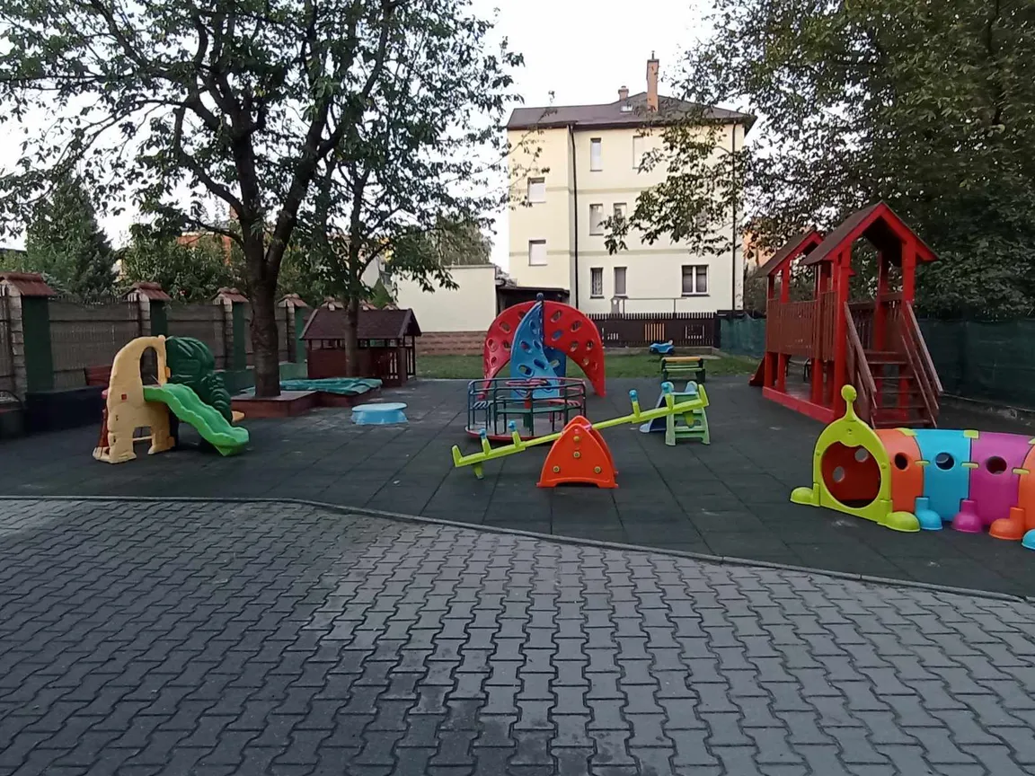 Niepubliczne Przedszkole Artystyczne Miś
