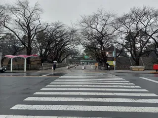 Nagoya Castle main keep