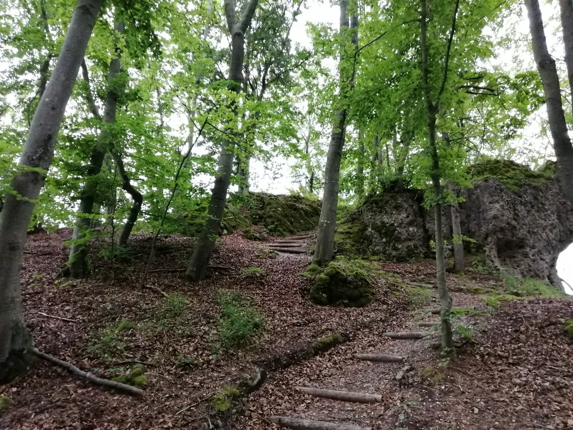 Aussichtspunkt Bellevue