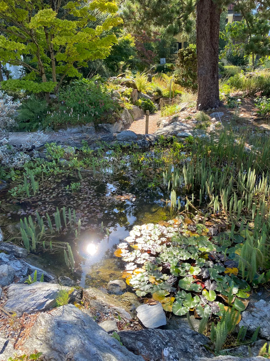Innsbruck University Botanical Garden