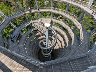 Black Forest treetop path