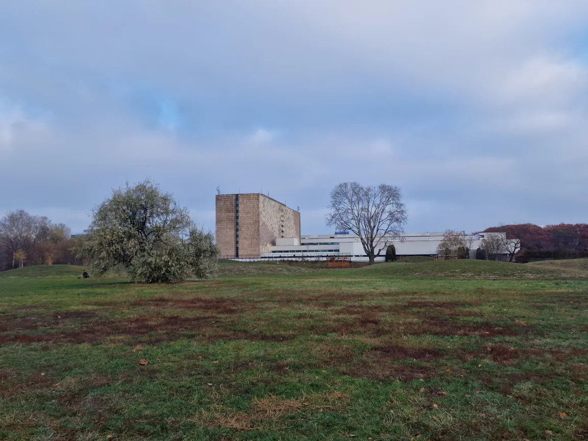 Psia polana