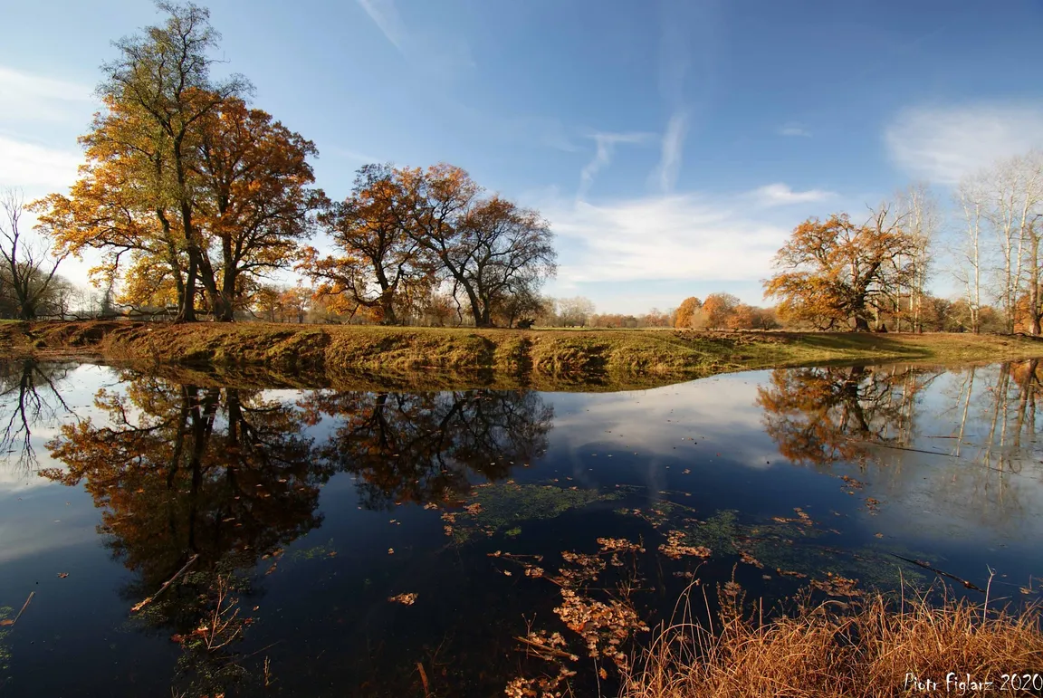 Rogaliński Park Krajobrazowy