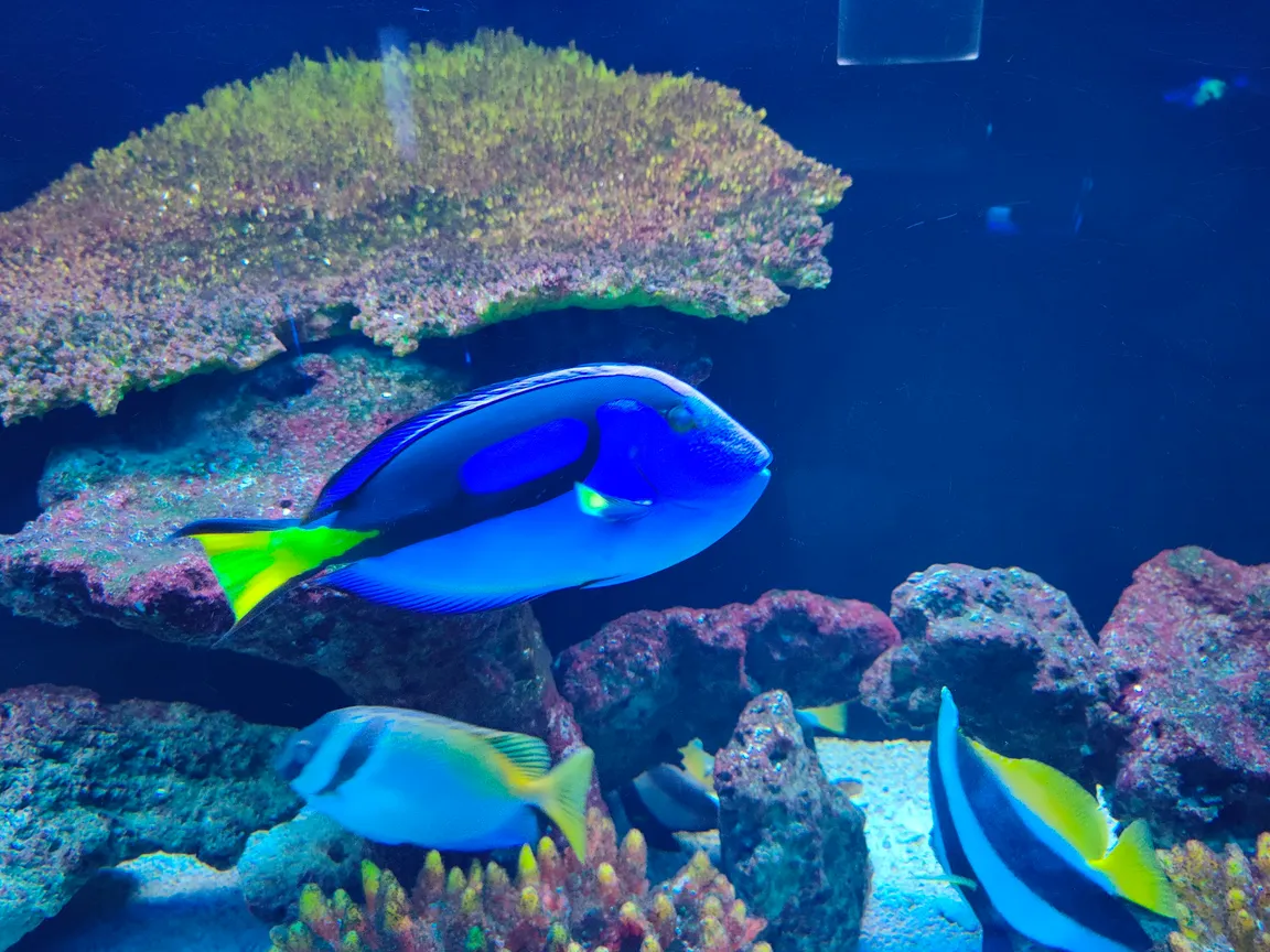 Oceanarium - Kołobrzeg