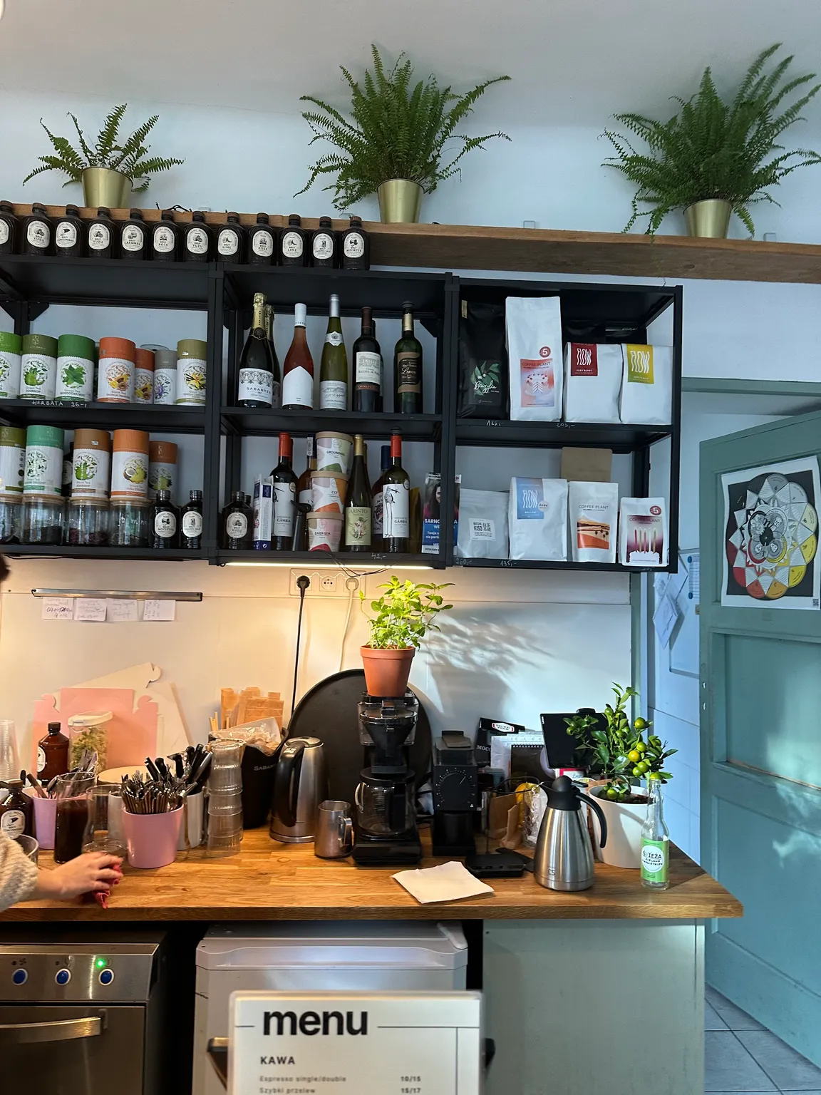 Roślina Cafe