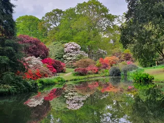 Exbury Gardens & Steam Railway