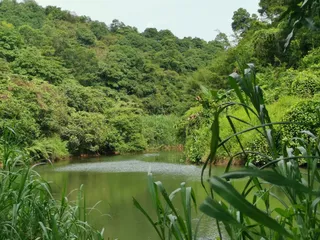 Maofengshan Forest Park