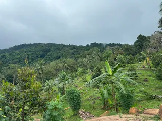 Ban Tai Road