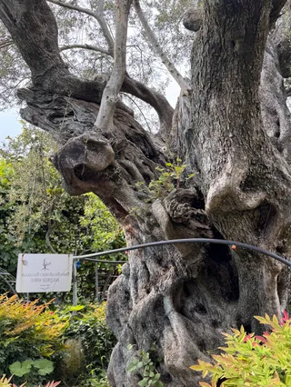 Agritourism Huqi