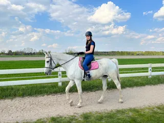 Stadnina Koni Pasja
