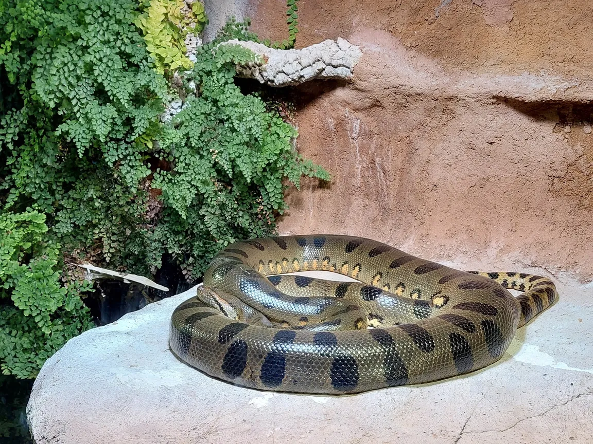 Hellabrunn Zoo