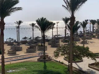 Elphistone resort