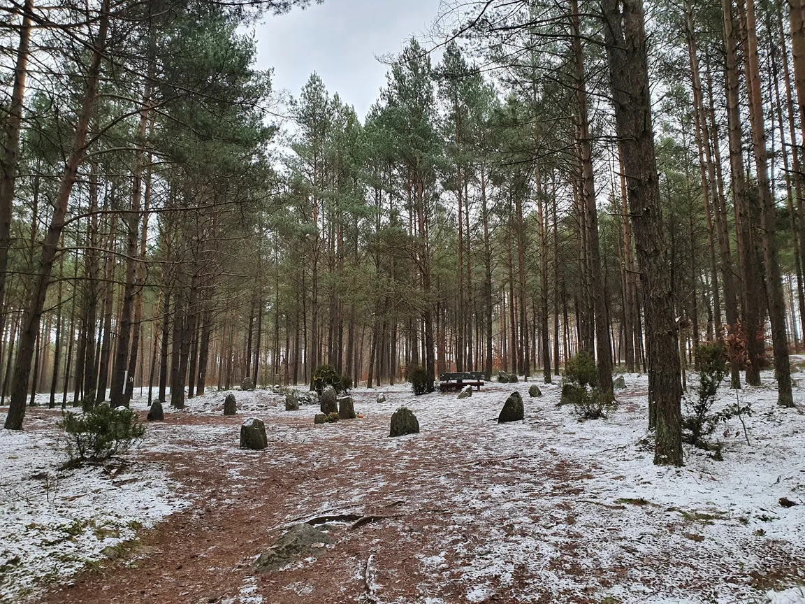 Kamienne Kręgi - Węsiory