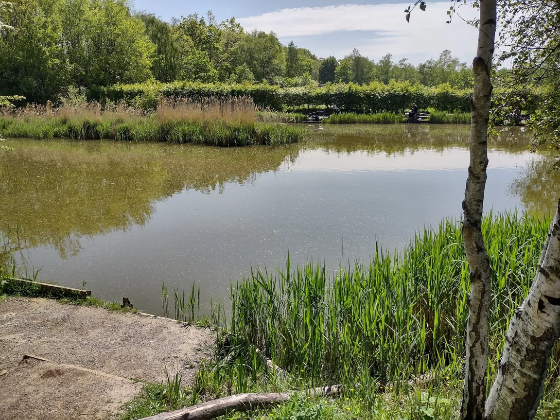 Shorne Woods Country Park