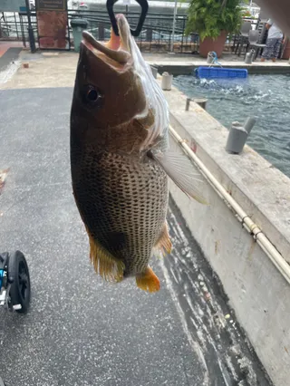 Hook Me Up Fishing Paradise