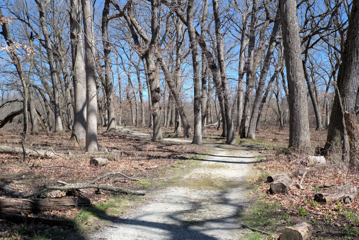 Sand Ridge Nature Center