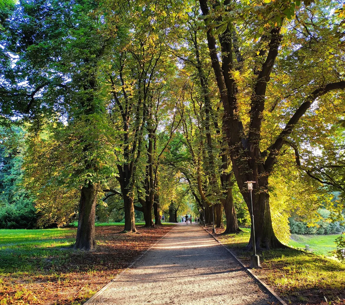 Park Miejski w Zamościu